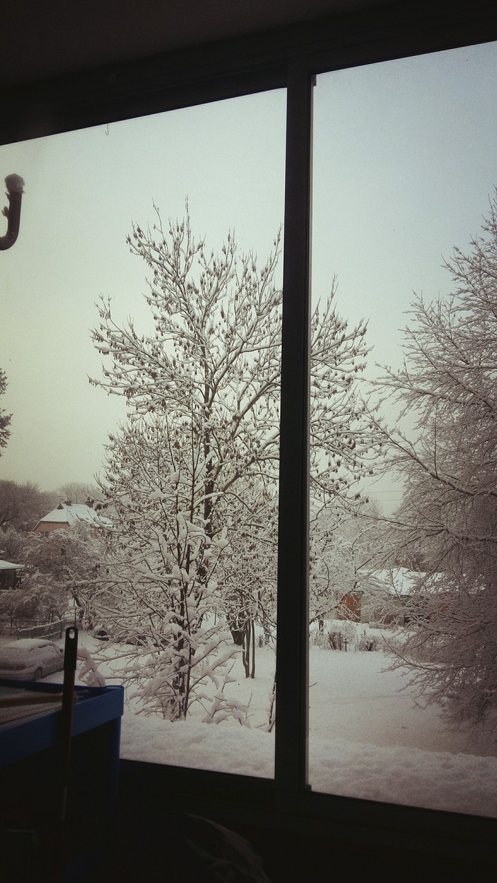 Best snow day
