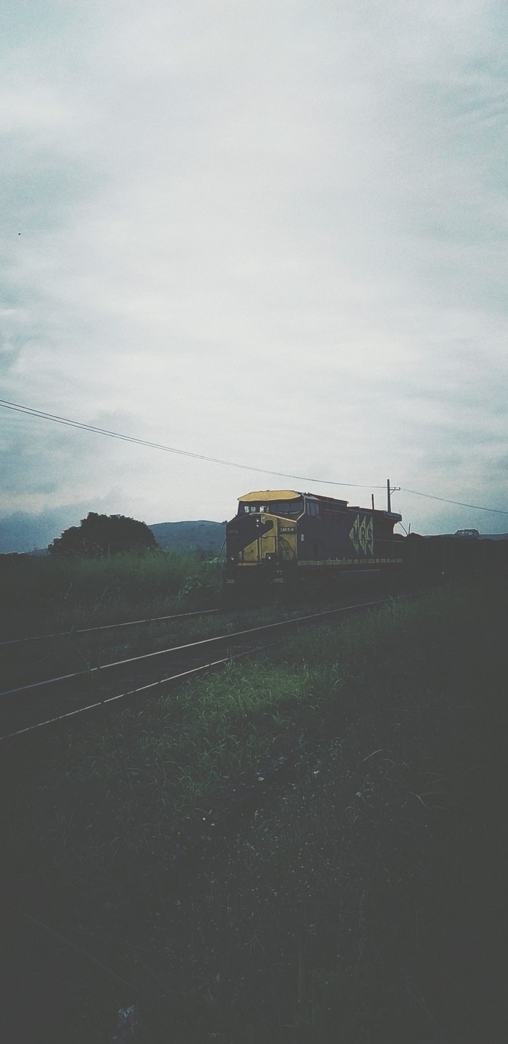 trem