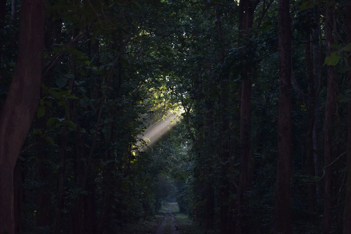 Sun Shine with DarknesS.... Click : BY ME..