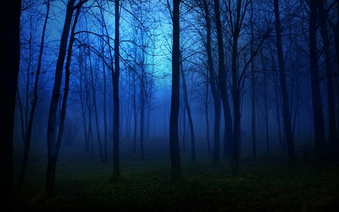 Apprehension