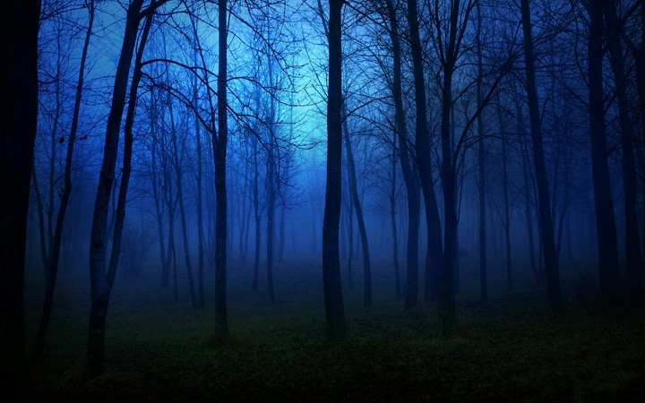 Apprehension