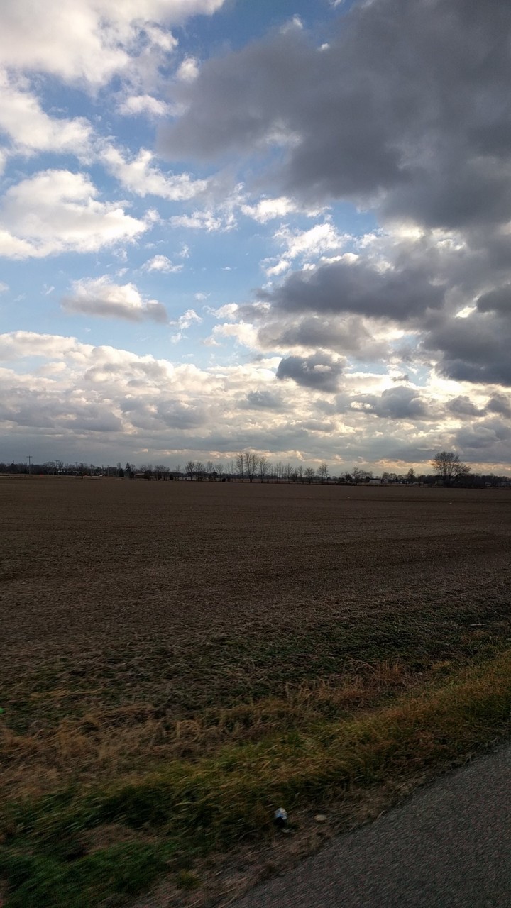 Sky over Field