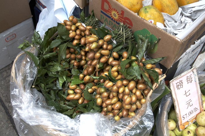 Tropical Fruit