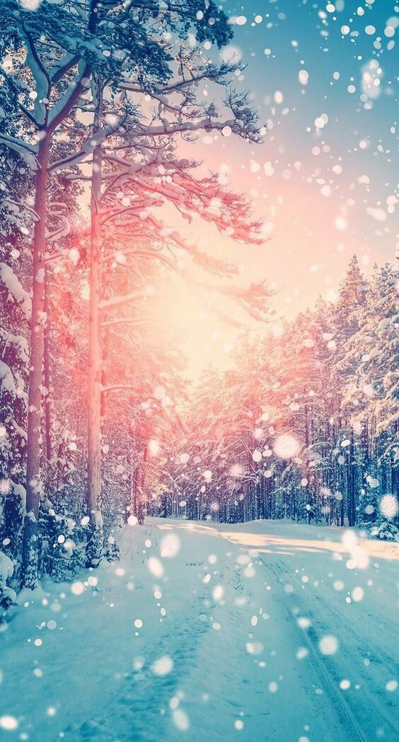 Winter