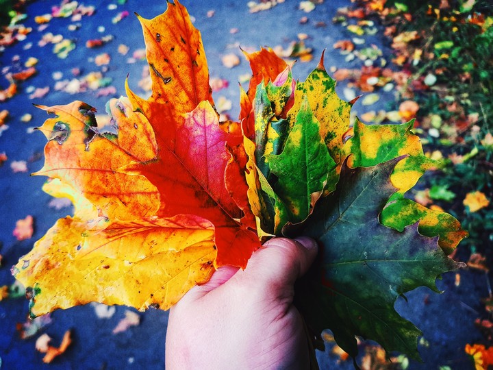 All colours are mine.