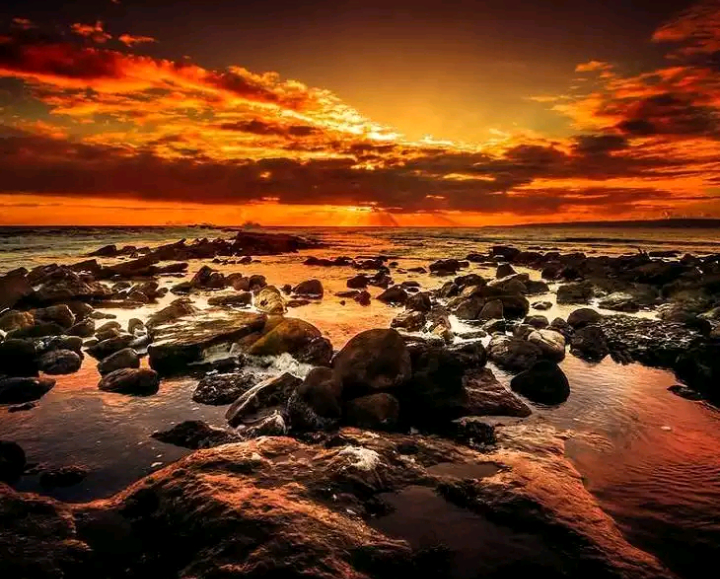 Nature