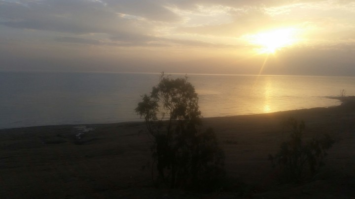 the dead sea