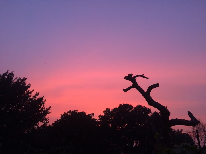 Even the Sky Shows Colors