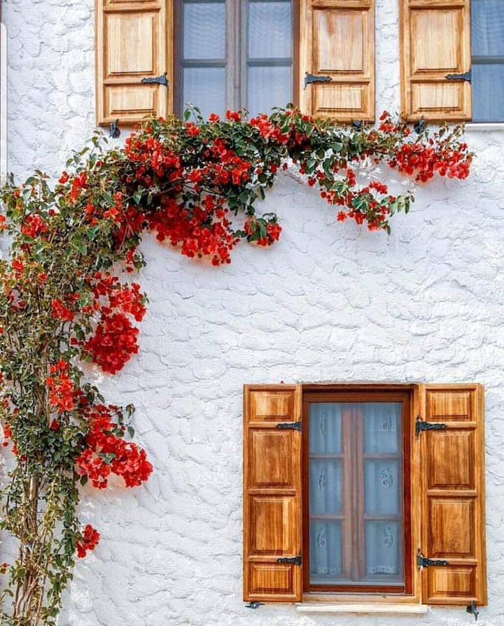 Tunis