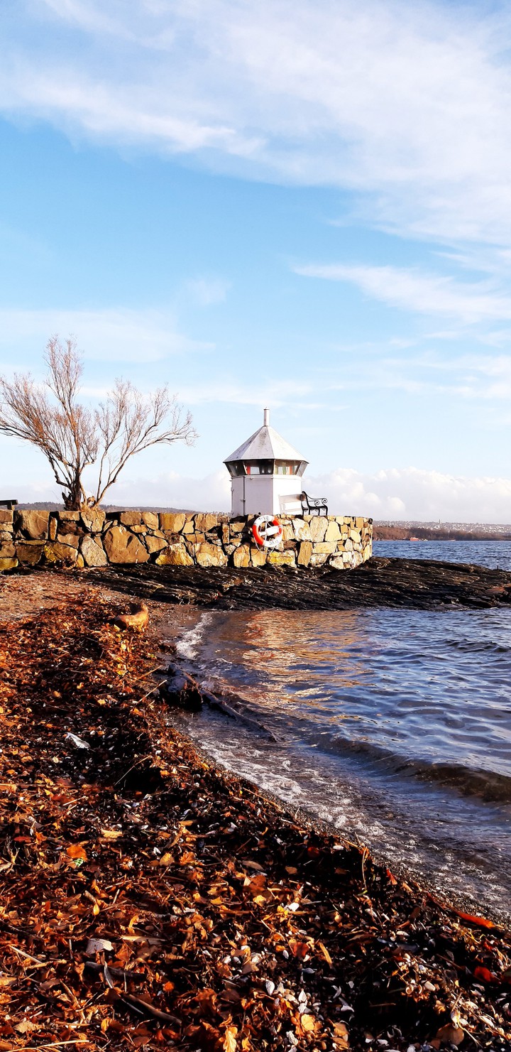 By the sea