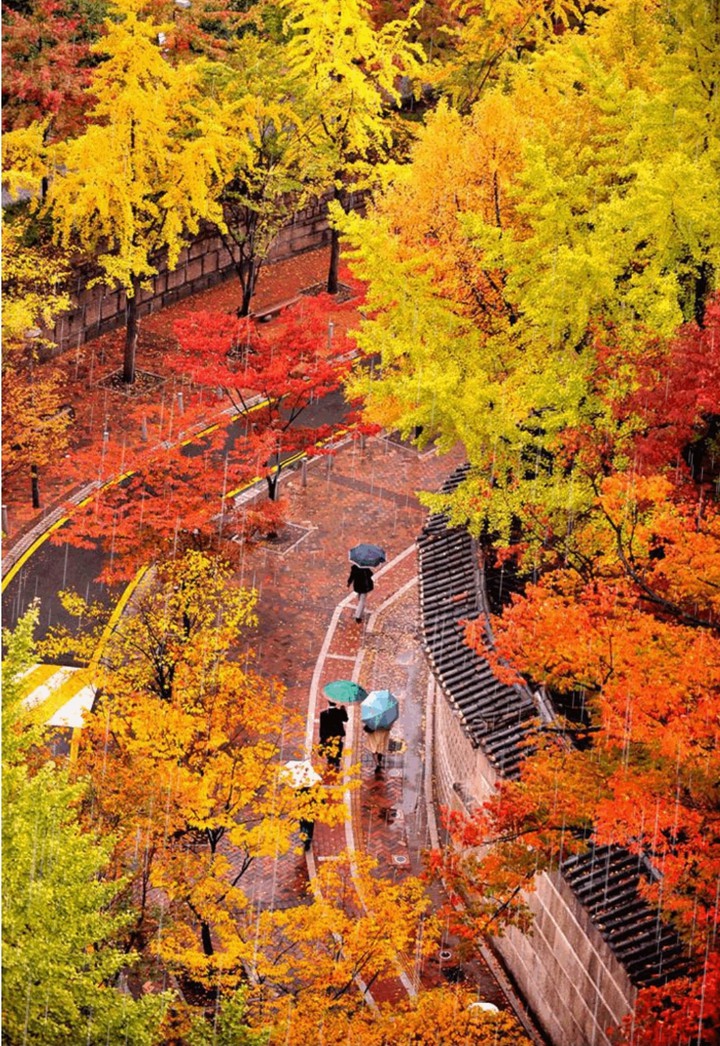 가을