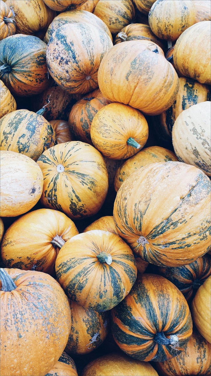 Pumpkin