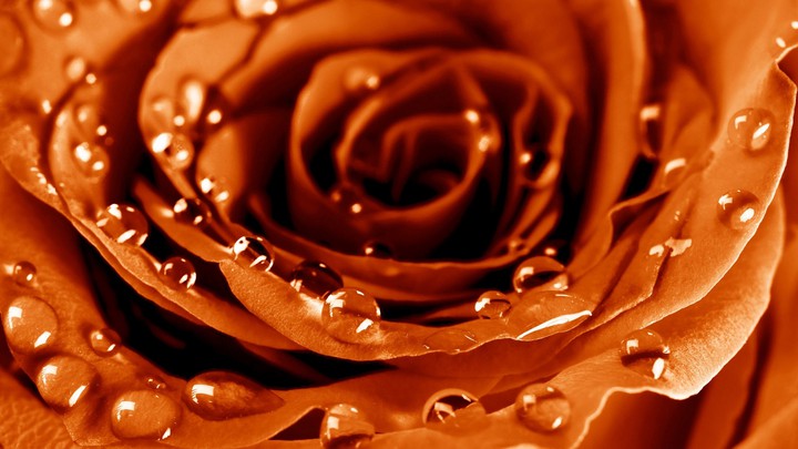 orange