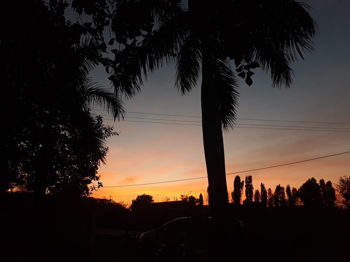 sky  has  its  own beauty