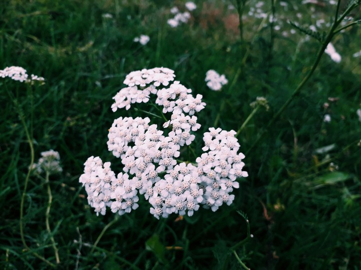 ♥️