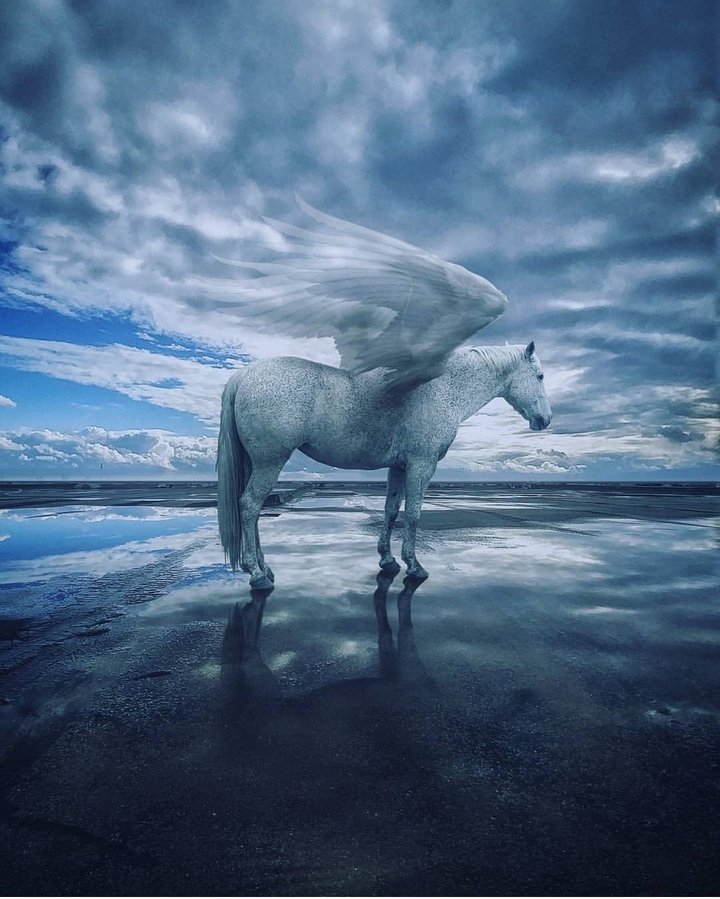 Pegasus
