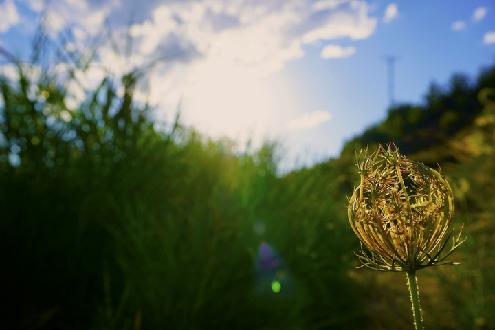 Sony a6000