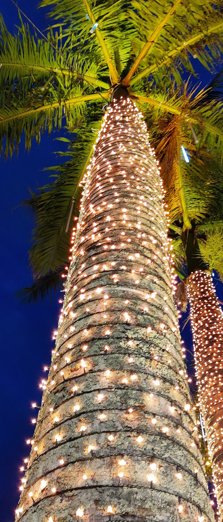 Christmas tree