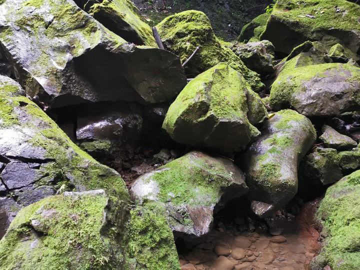 rocas