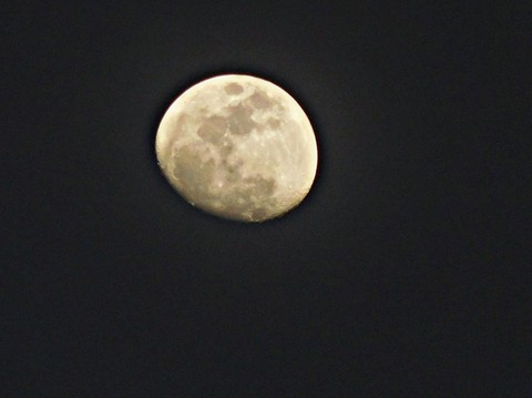 moon - 20x zoom (no filter/photoshopped)