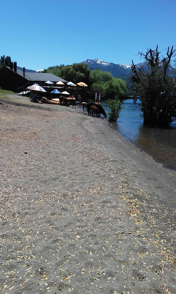 quina quila