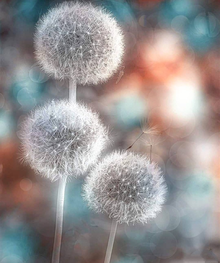 ( ◜‿◝ )♡