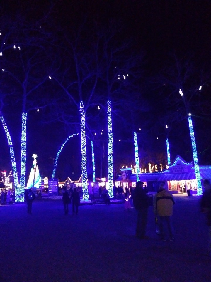 winter lights