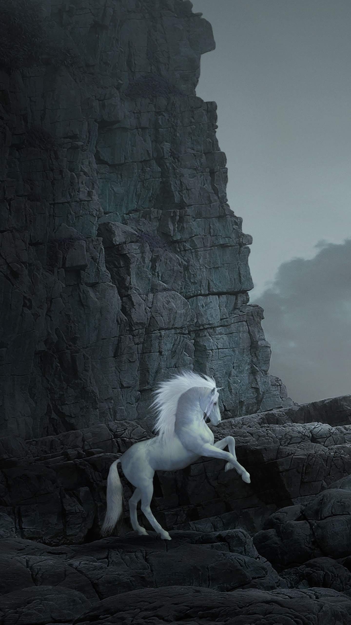horse