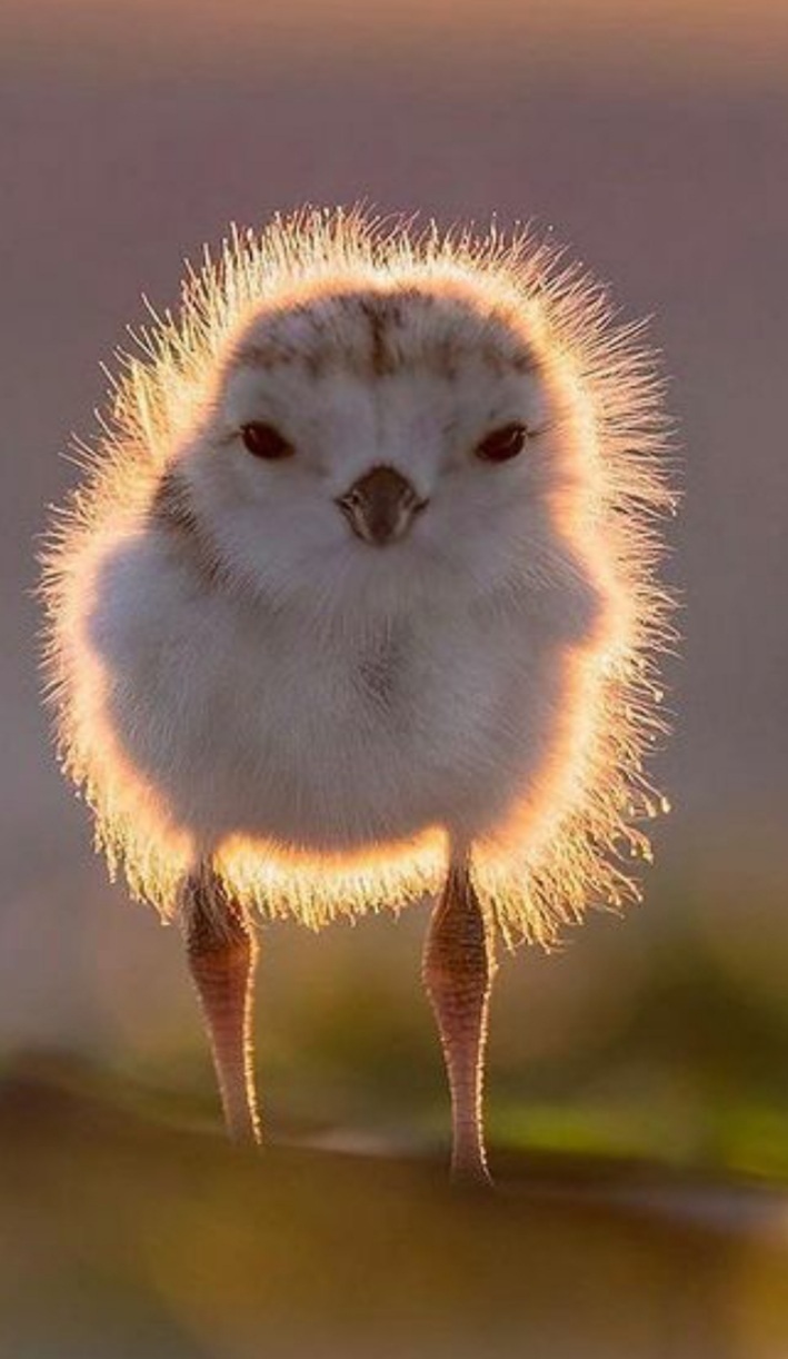 ❤