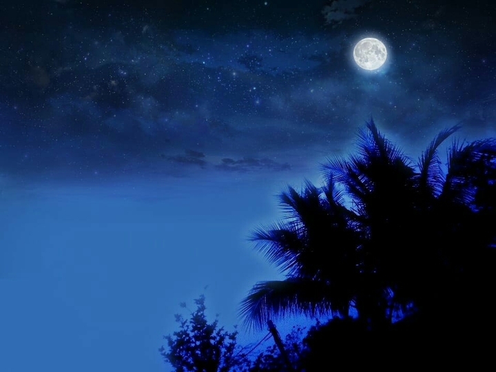 Night