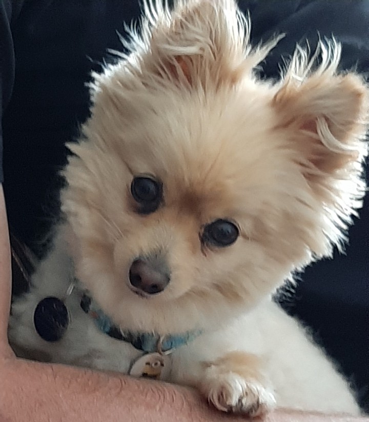 Hallo!!!