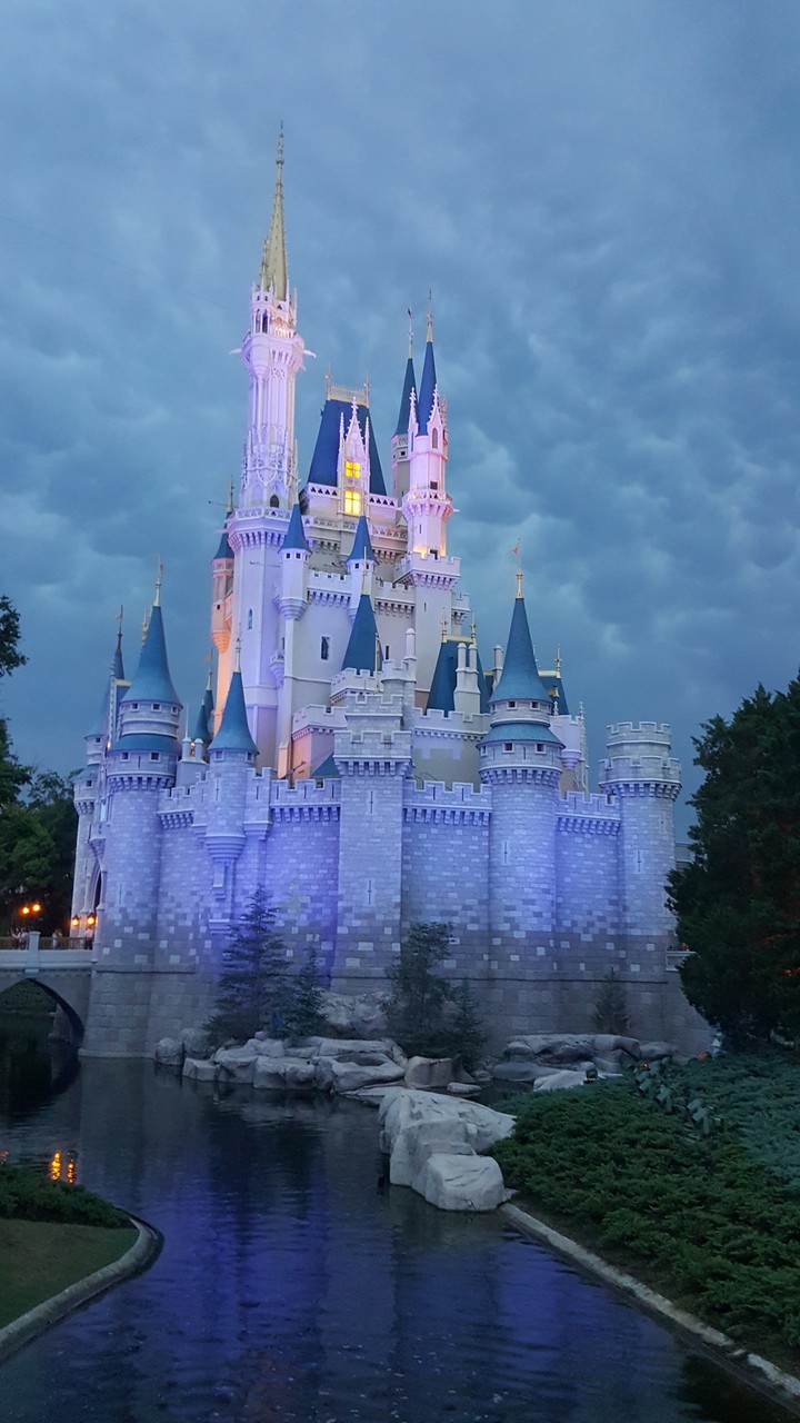 Disney Castle
