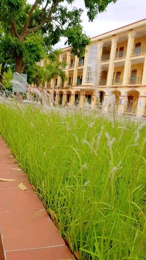 tạm biệt nhé!