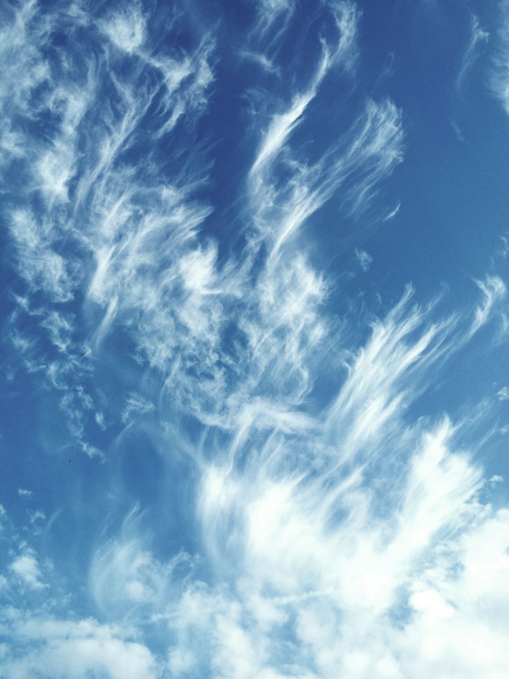 Sky