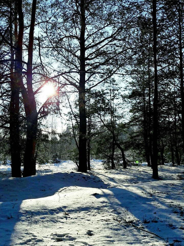 зима в РБ |Winter in Belarus|