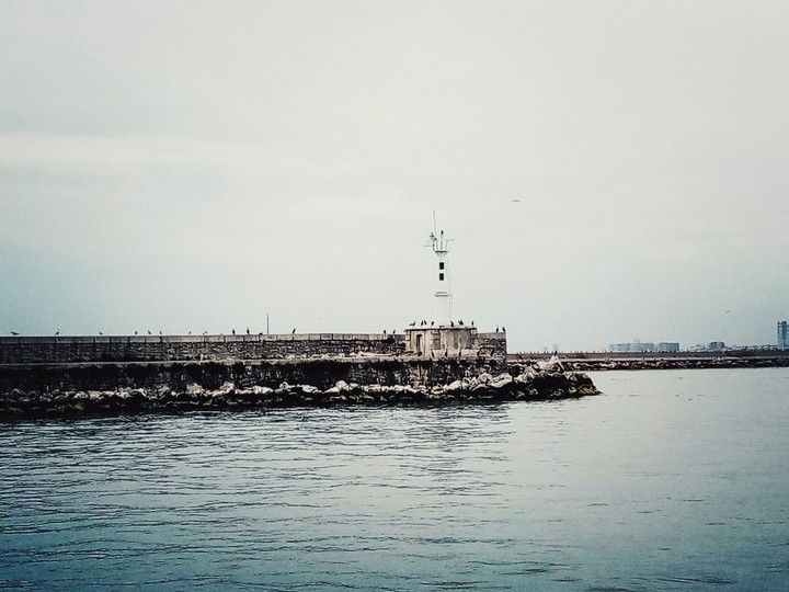 Kuşlar ve deniz feneri