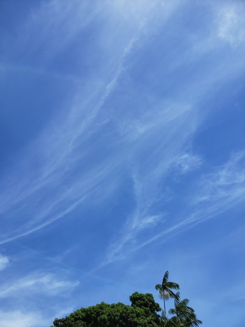 Blue Sky