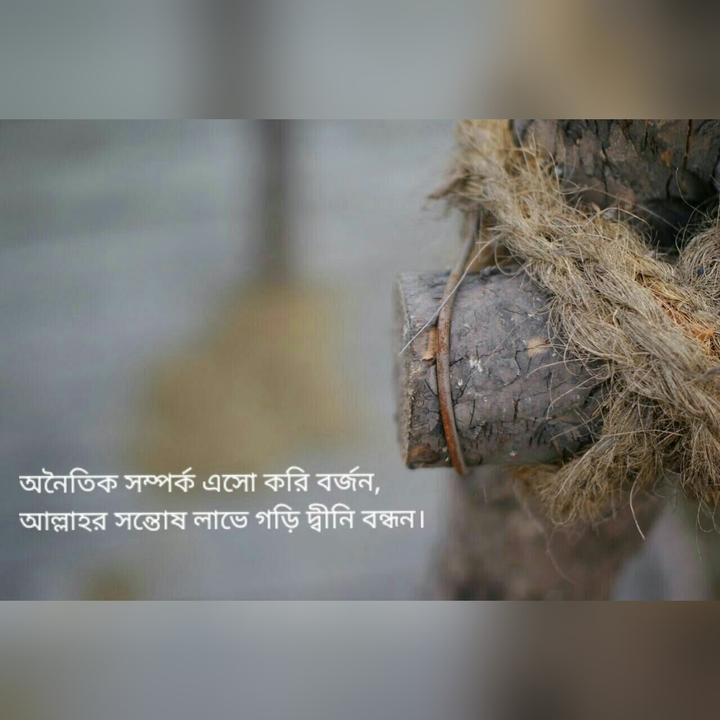 True Bond.Relation