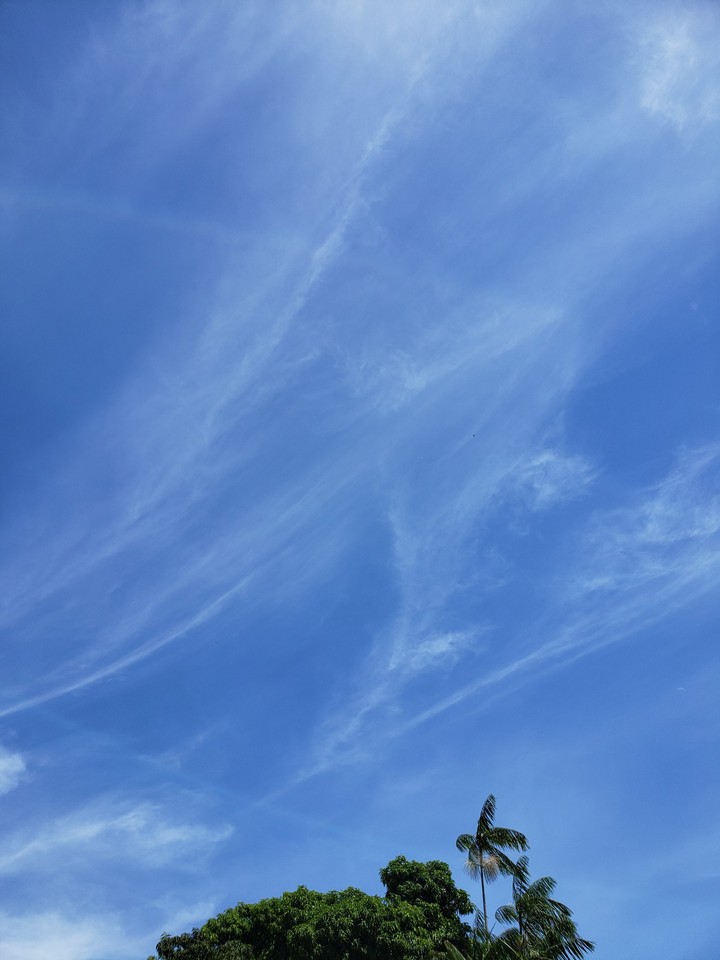 Blue Sky
