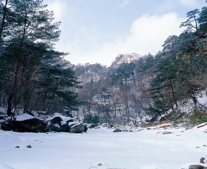 자연이미지