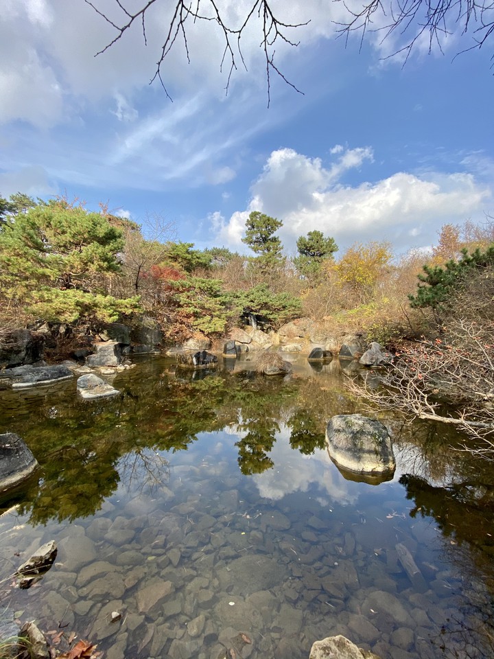 mir fall
