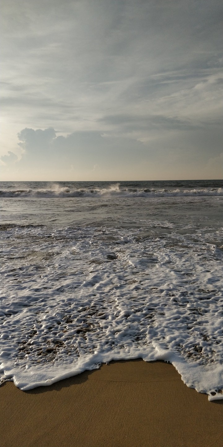 Sea shore