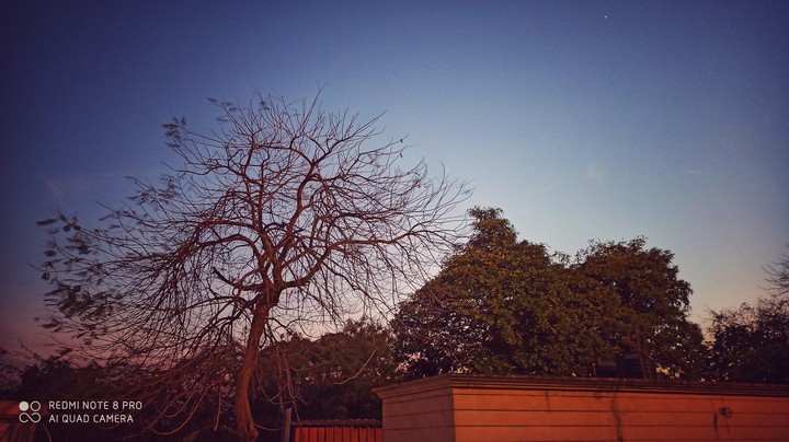 evening that shines