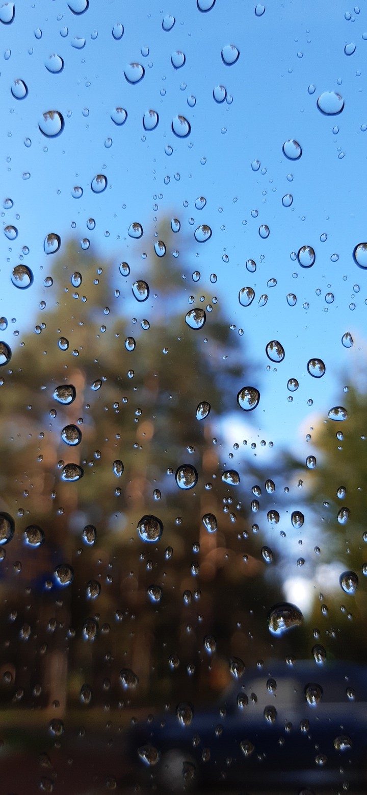 Drops on the glass