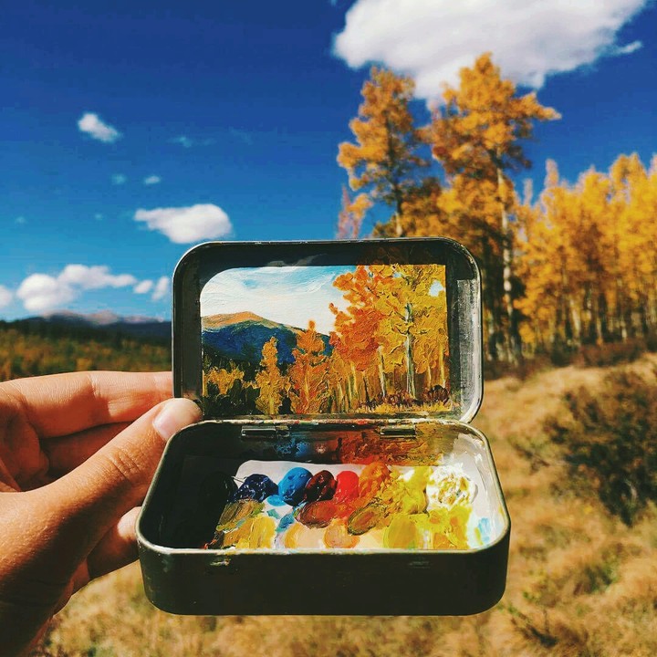 Colores