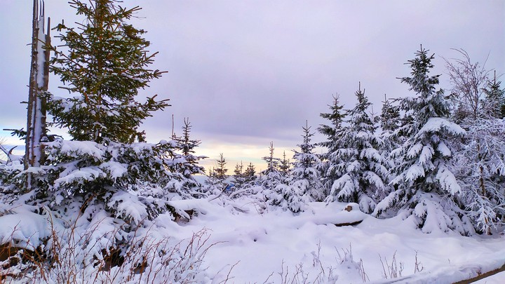 winter
