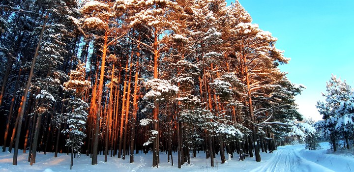 Nature