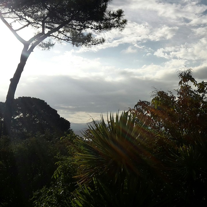 Sunlight