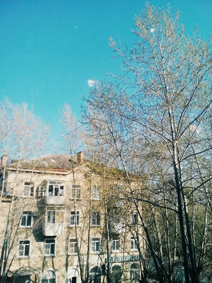 весна