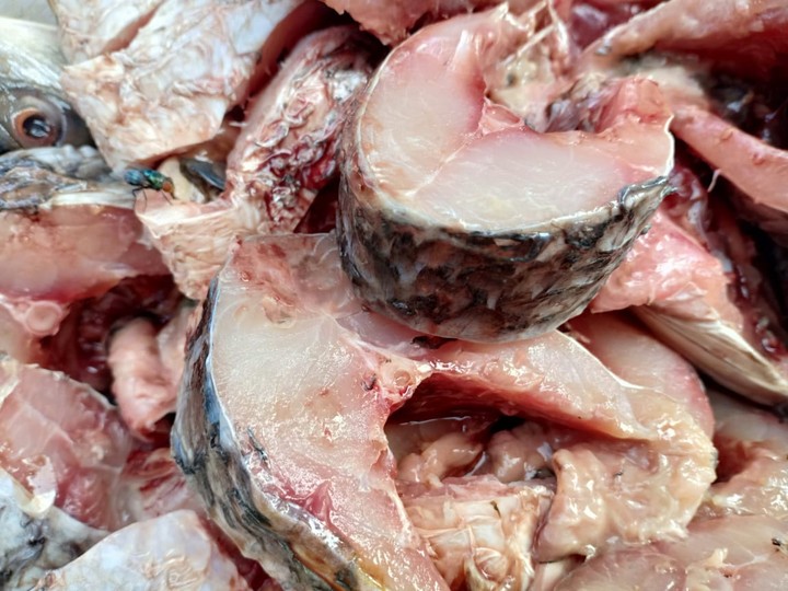fish flesh